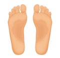 Human feet vector illustration