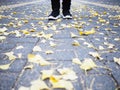 Human feet wearing black sneaker shoes standing on the street with ginkgo leaves falling down Royalty Free Stock Photo