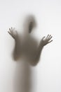 Scary diffuse human face and hands silhouette shouting behind a curtain Royalty Free Stock Photo