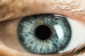 Human Female eye macro. Closeup shot of female gray - blue colour eye with day Royalty Free Stock Photo