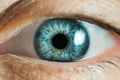 Human Female eye macro. Closeup shot of female gray - blue colour eye with day Royalty Free Stock Photo