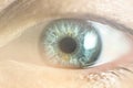 Human Female eye macro. Closeup shot of female gray - blue Light toning Royalty Free Stock Photo