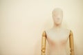 Human female mannequin portrait photograph Royalty Free Stock Photo