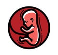 Human fetus embryo womb unborn child vector linear icon isolated