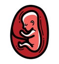 Human fetus embryo womb unborn child vector linear icon isolated.