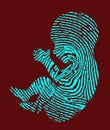 A human fetus is shown as a fingerprint in a 3-d illustration about determining when a human becomes a real person