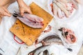 Human filleting a fresh fish. Royalty Free Stock Photo