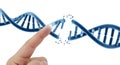 Human finger interacting with damaged dna strand Royalty Free Stock Photo