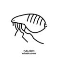 Human flea sign. Blood-sucking insect pictogram. Outline icon.