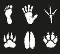 Human foot print and animal footprint Royalty Free Stock Photo