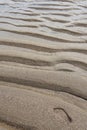 Human foot print on sand Royalty Free Stock Photo