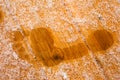 Human foot prints Royalty Free Stock Photo