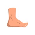 Human foot standing vector Illustration on a white background