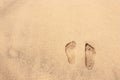 Human footprint on golden sand of tropical beach