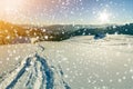 Human footprint path track in white deep snow leading to small wooden shepherd hut, spruce forest, woody dark mountain range,