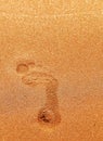 Human footprint on sand