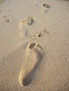 Human footprint on sand