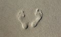 Human footprint in the sand. Nature background