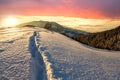 Human footprint track path in white deep snow through empty field with woody dark mountain range and soft glow on horizon at Royalty Free Stock Photo