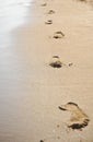 Human footprints on the beach sand. Traces on the beach of a man or a woman. Footsteps on the beach in summer Royalty Free Stock Photo