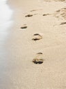 Human footprints on the beach sand. Traces on the beach of a man or a woman. Footsteps on the beach in summer Royalty Free Stock Photo