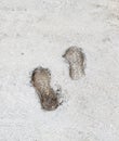 Human footprints on cement floors of walkway Royalty Free Stock Photo