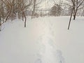 Human footprints in the deep snow. Winter snow