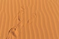Human footprints on desert wavy sand.