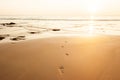 Human footprints on the golden sand beach at dusk Royalty Free Stock Photo