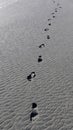 Human footprints have been left in the wet sand on the beach Royalty Free Stock Photo