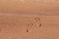 Human footprints on sand of beach near sea coast. Monochrome. Vacation, travel, summer. Steps on shore. Copy space