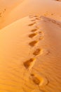 Human footprints in the sand dunes of Sharqiya (Wahiba) Sands, Om Royalty Free Stock Photo