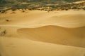 Human footprints in the sand. Rifts and dunes. Grass and trees after the desert. Royalty Free Stock Photo