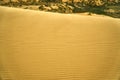 Human footprints in the sand. Rifts and dunes. Grass and trees after the desert. Royalty Free Stock Photo