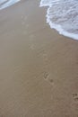 Human footprints in the sand, walking on the beach Royalty Free Stock Photo