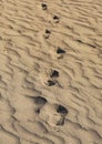 Human Footprints on Sands at Windy Day