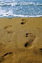 Human footprints on sandy beach, footprints in the sand going out to sea Royalty Free Stock Photo