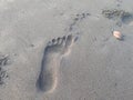 human footprints on the sandy beach are very clear in the morning Royalty Free Stock Photo