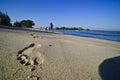 Footprints on sandy beach in the morning, India. Royalty Free Stock Photo