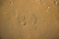 Human footprints on sea sand shore waterfront district background texture from above foreshortening for wallpaper or banner about Royalty Free Stock Photo