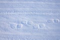 Human footprints and shoe tread marks visible on fresh snow winter surface outdoors Royalty Free Stock Photo
