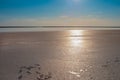 Human footprints on the shore of a salt lake.