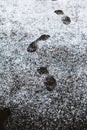 Human footprints on sidewalk covered by first snow Royalty Free Stock Photo