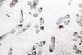 Human footprints in the snow Royalty Free Stock Photo