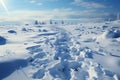 Human footprints in the snow Climbing in the hill