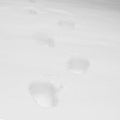 Human footprints in the snow. Close up Royalty Free Stock Photo
