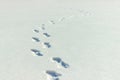 Human footprints on snow. Footsteps on winter frozen lake surface Royalty Free Stock Photo