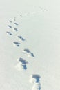 Human footprints on snow. Footsteps on winter frozen lake surface Royalty Free Stock Photo