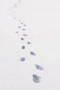 Human footprints in snowdrifts of white clean snow on a sunny frosty winter day. Concept of north pioneers and tourism, have