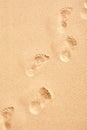 Human footprints walking across the sand Royalty Free Stock Photo